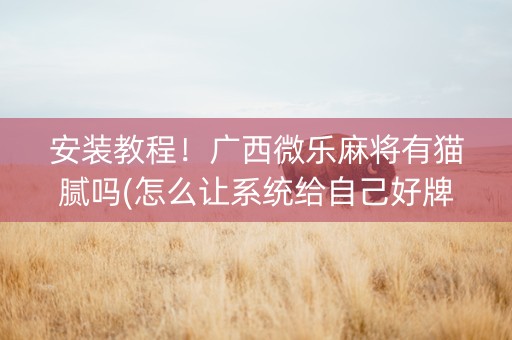 安装教程！广西微乐麻将有猫腻吗(怎么让系统给自己好牌)