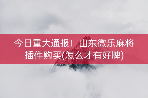 今日重大通报！山东微乐麻将插件购买(怎么才有好牌)