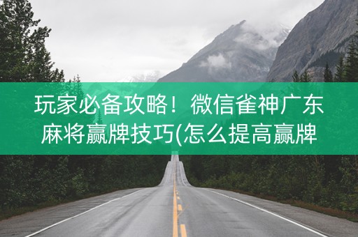 玩家必备攻略！微信雀神广东麻将赢牌技巧(怎么提高赢牌率)