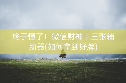 终于懂了！微信财神十三张辅助器(如何拿到好牌)