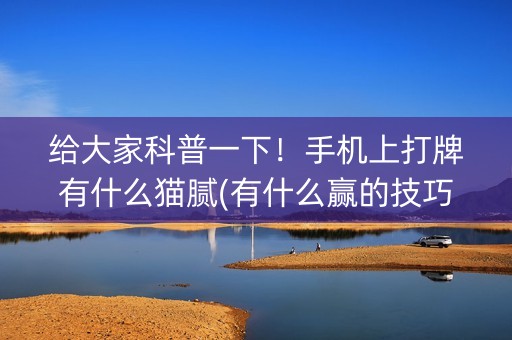 给大家科普一下！手机上打牌有什么猫腻(有什么赢的技巧)