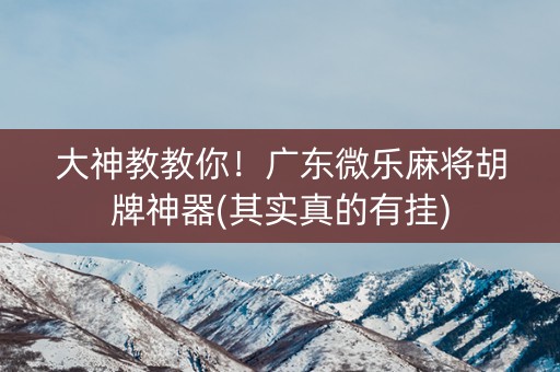 大神教教你！广东微乐麻将胡牌神器(其实真的有挂)