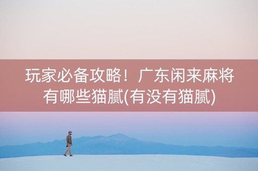 玩家必备攻略！广东闲来麻将有哪些猫腻(有没有猫腻)