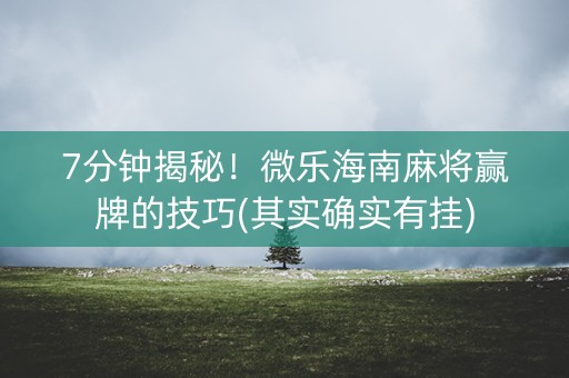 7分钟揭秘！微乐海南麻将赢牌的技巧(其实确实有挂)