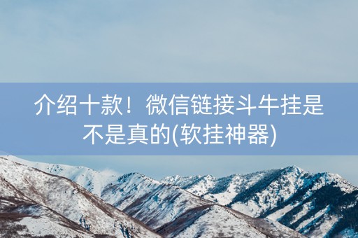 介绍十款！微信链接斗牛挂是不是真的(软挂神器)
