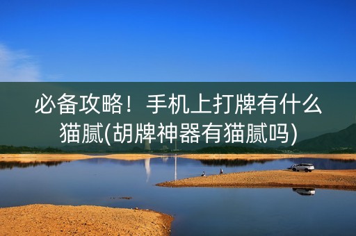必备攻略！手机上打牌有什么猫腻(胡牌神器有猫腻吗)