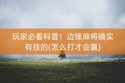 玩家必看科普！边锋麻将确实有挂的(怎么打才会赢)