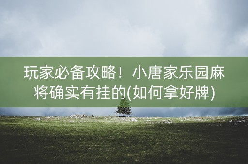 玩家必备攻略！小唐家乐园麻将确实有挂的(如何拿好牌)