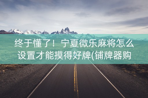 终于懂了！宁夏微乐麻将怎么设置才能摸得好牌(铺牌器购买)