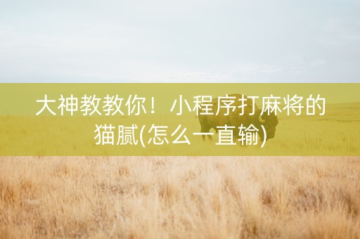 大神教教你！小程序打麻将的猫腻(怎么一直输)