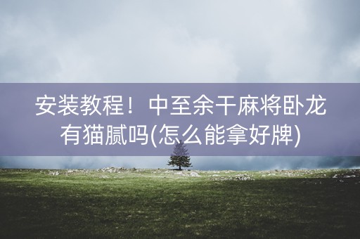 安装教程！中至余干麻将卧龙有猫腻吗(怎么能拿好牌)