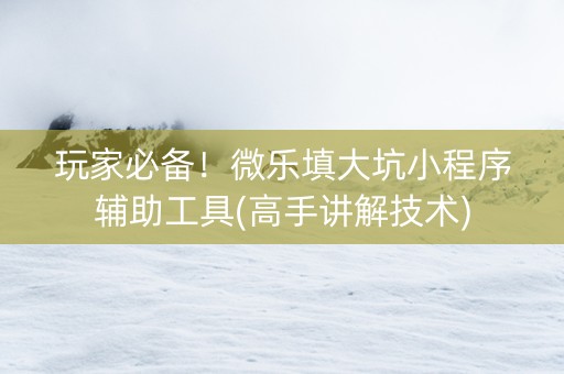 玩家必备！微乐填大坑小程序辅助工具(高手讲解技术)