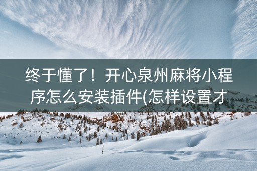 终于懂了！开心泉州麻将小程序怎么安装插件(怎样设置才容易赢)