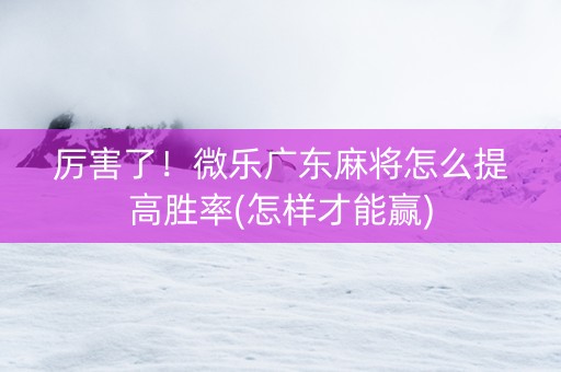 厉害了！微乐广东麻将怎么提高胜率(怎样才能赢)