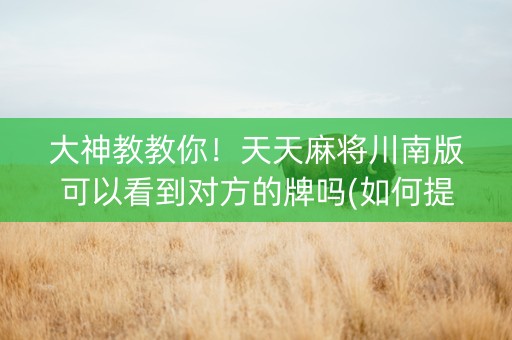 大神教教你！天天麻将川南版可以看到对方的牌吗(如何提高胡牌率)