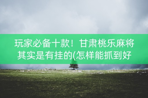 玩家必备十款！甘肃桃乐麻将其实是有挂的(怎样能抓到好牌)