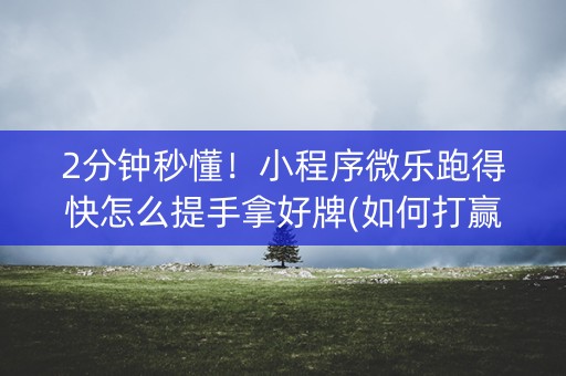 2分钟秒懂！小程序微乐跑得快怎么提手拿好牌(如何打赢有插件吗)