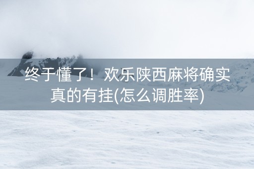 终于懂了！欢乐陕西麻将确实真的有挂(怎么调胜率)
