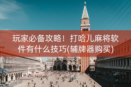 玩家必备攻略！打哈儿麻将软件有什么技巧(辅牌器购买)
