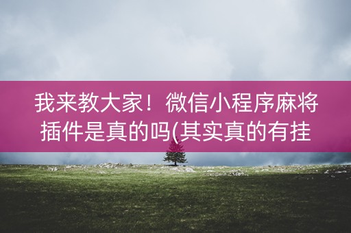 我来教大家！微信小程序麻将插件是真的吗(其实真的有挂)