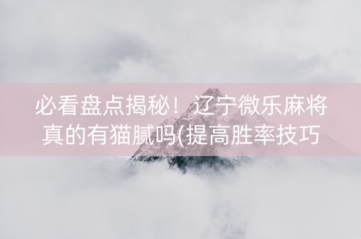 必看盘点揭秘！辽宁微乐麻将真的有猫腻吗(提高胜率技巧)