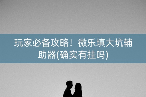 玩家必备攻略！微乐填大坑辅助器(确实有挂吗)
