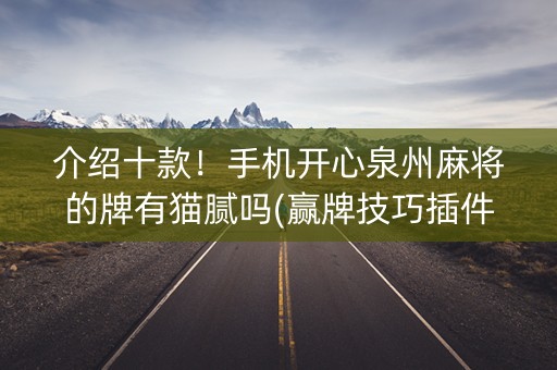 介绍十款！手机开心泉州麻将的牌有猫腻吗(赢牌技巧插件安装)
