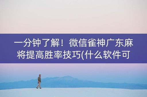 一分钟了解！微信雀神广东麻将提高胜率技巧(什么软件可以赢)