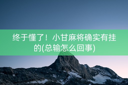 终于懂了！小甘麻将确实有挂的(总输怎么回事)