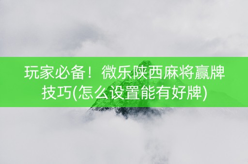 玩家必备！微乐陕西麻将赢牌技巧(怎么设置能有好牌)