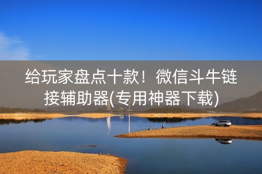 给玩家盘点十款！微信斗牛链接辅助器(专用神器下载)