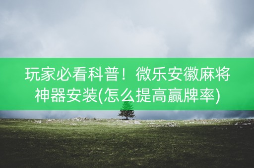 玩家必看科普！微乐安徽麻将神器安装(怎么提高赢牌率)
