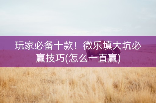 玩家必备十款！微乐填大坑必赢技巧(怎么一直赢)