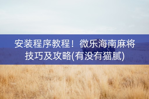 安装程序教程！微乐海南麻将技巧及攻略(有没有猫腻)