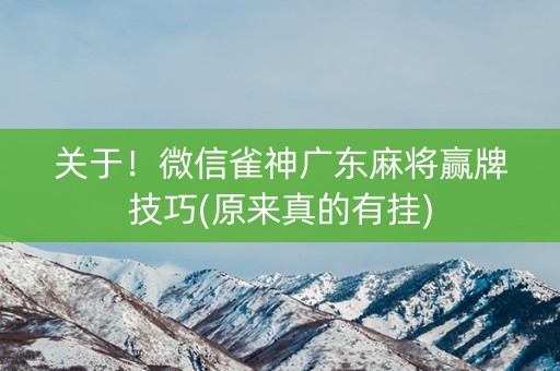关于！微信雀神广东麻将赢牌技巧(原来真的有挂)