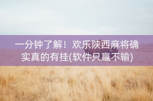一分钟了解！欢乐陕西麻将确实真的有挂(软件只赢不输)