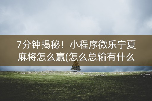 7分钟揭秘！小程序微乐宁夏麻将怎么赢(怎么总输有什么猫腻)