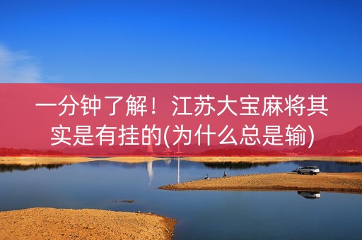 一分钟了解！江苏大宝麻将其实是有挂的(为什么总是输)