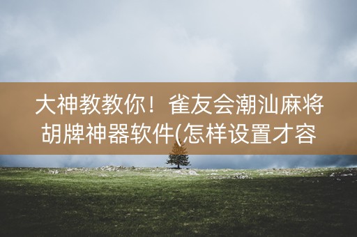 大神教教你！雀友会潮汕麻将胡牌神器软件(怎样设置才容易赢)