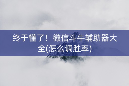 终于懂了！微信斗牛辅助器大全(怎么调胜率)