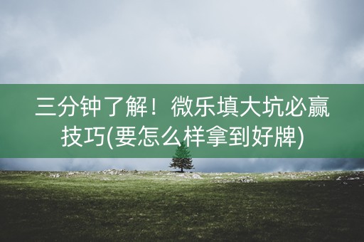 三分钟了解！微乐填大坑必赢技巧(要怎么样拿到好牌)