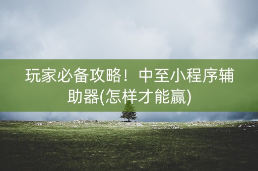 玩家必备攻略！中至小程序辅助器(怎样才能赢)