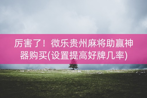 厉害了！微乐贵州麻将助赢神器购买(设置提高好牌几率)