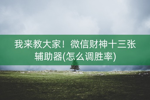 我来教大家！微信财神十三张辅助器(怎么调胜率)