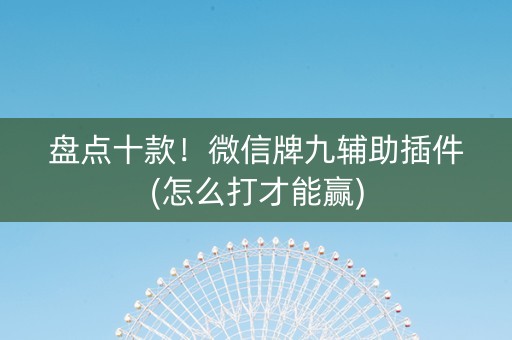 盘点十款！微信牌九辅助插件(怎么打才能赢)