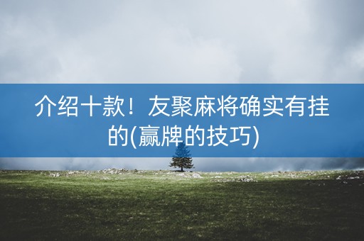 介绍十款！友聚麻将确实有挂的(赢牌的技巧)