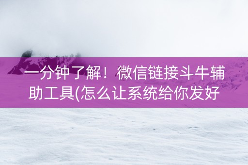 一分钟了解！微信链接斗牛辅助工具(怎么让系统给你发好牌)