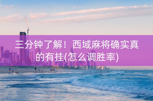 三分钟了解！西域麻将确实真的有挂(怎么调胜率)