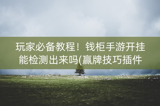 玩家必备教程！钱柜手游开挂能检测出来吗(赢牌技巧插件安装)