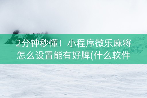 2分钟秒懂！小程序微乐麻将怎么设置能有好牌(什么软件可以赢)